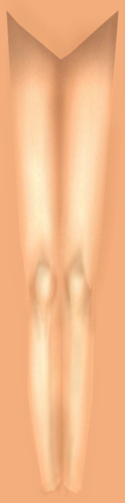 Legs_Front1.tga Legs_Front1.tga