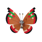 NPS_p034-PA.png