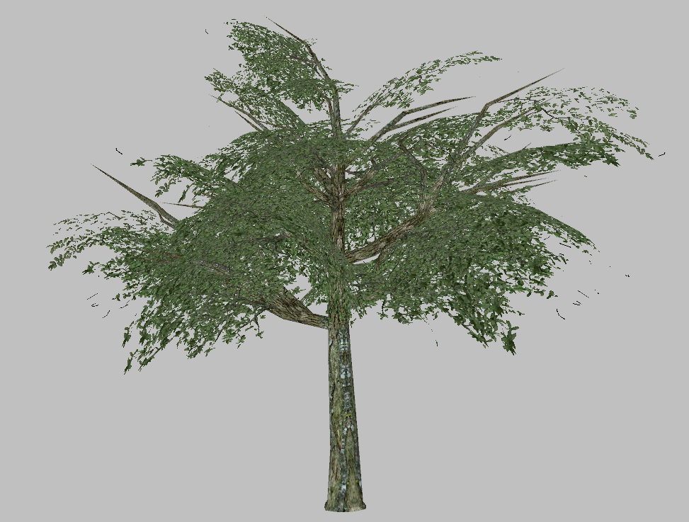 sib_tree01