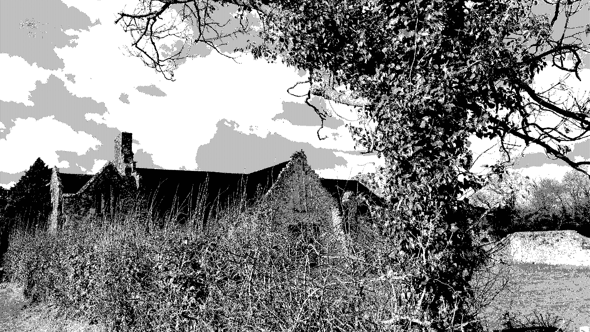 ext_yard