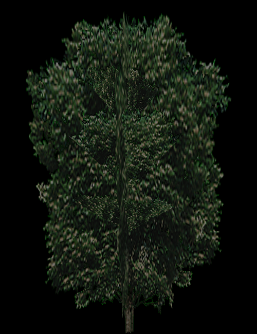 Unused (SC_Tree3) Unused (SC_Tree3)