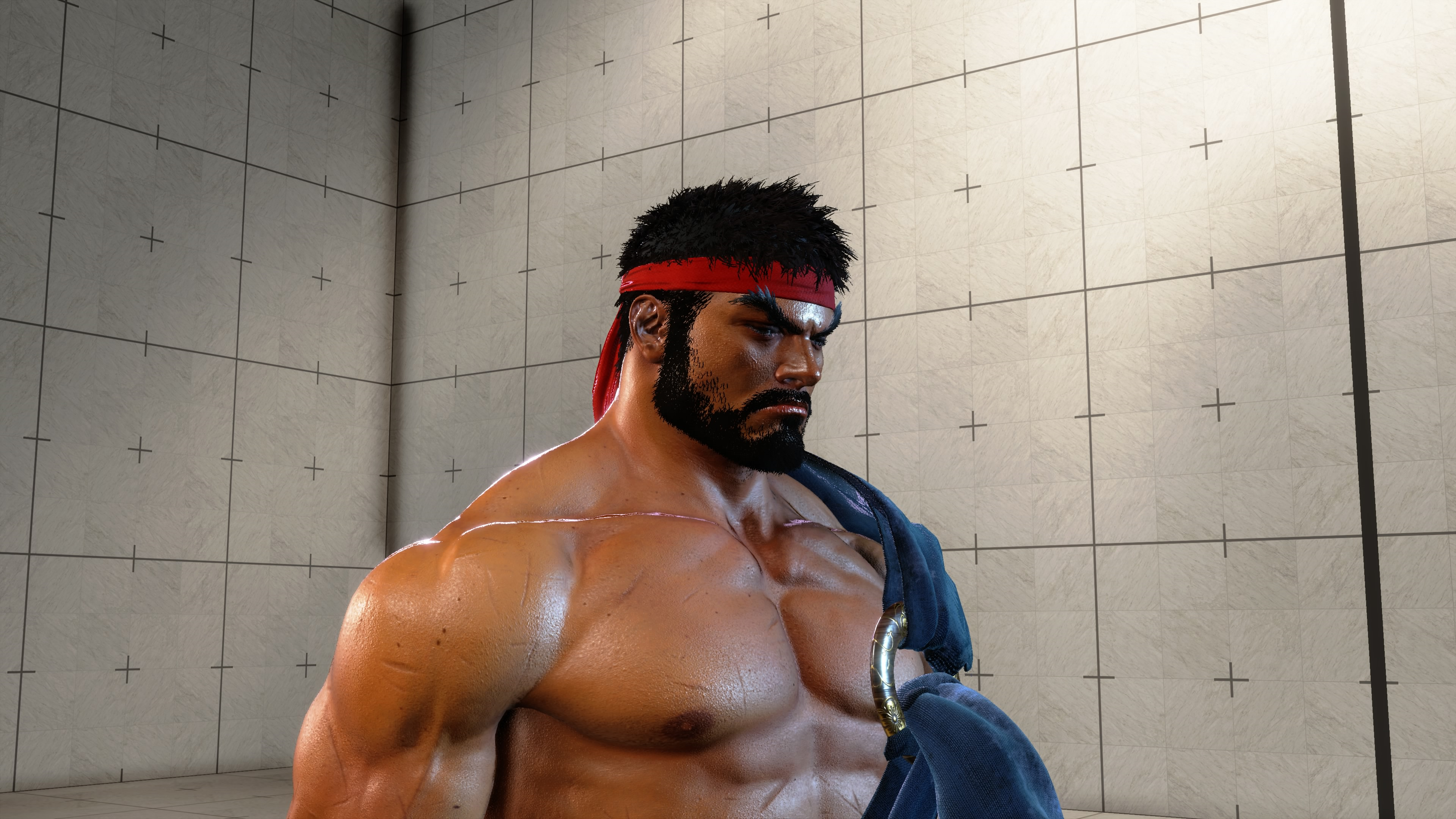 The "disabled lighting" rarely seen in-game (pre-fight) The "disabled lighting" rarely seen in-game (pre-fight)