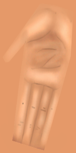 Palm1.tga Palm1.tga