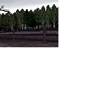 CMR04_xbox_demo_icons_fin_s6.png