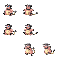 pmgs_241_frnt_m_r25451.png