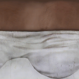 Arm