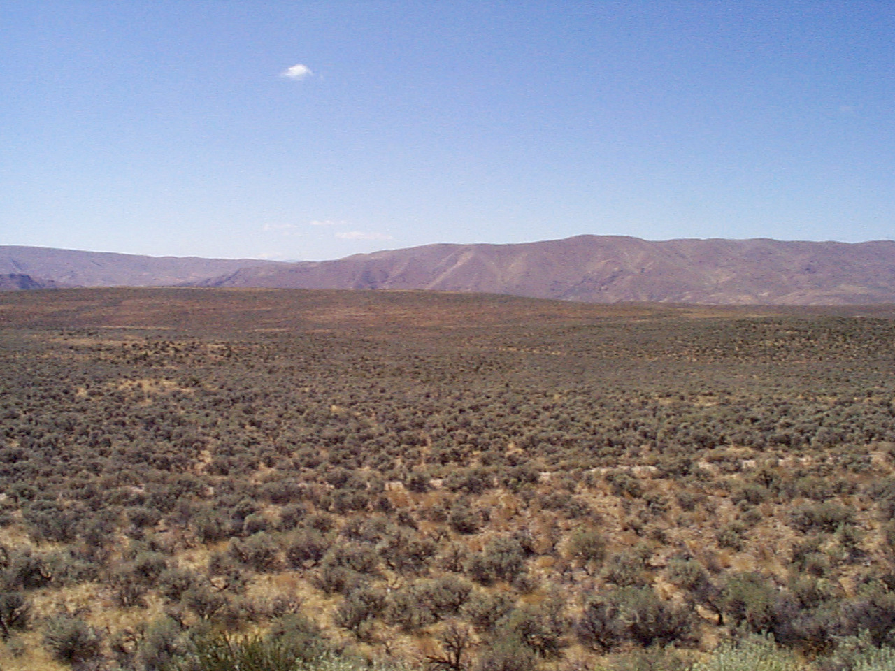 desert02 desert02