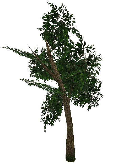 tree_tree5.mdl tree_tree5.mdl