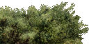 CMR3_Xbox_TEMP_bsh_sh1z.png