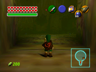 OoTEnvironment_DT_Unused6.png