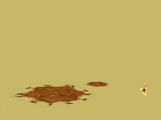 Animation showcase of the Mudis. (Click on the picture to see) Animation showcase of the Mudis. (Click on the picture to see)
