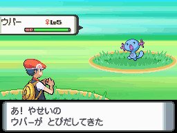 PKMNDP_Jun06_FemaleWooper.jpg