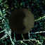 Hl2proto_citadel_001_00_05_00.png