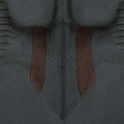 Torso