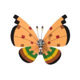 NPS_p034-KA.png