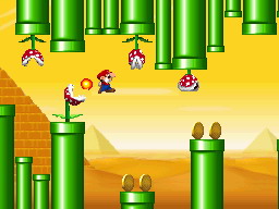 NSMB-prerelease-Feb_2006_press_screenshot_5.jpg