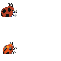 PlatSVN_pmdp_165_back_m_r.png