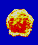 Sonic_The_Fighters_FireEffect1.png