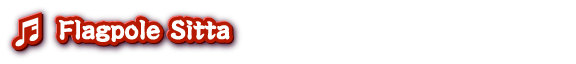 taikoDRUMMASTER-flagpole1.png