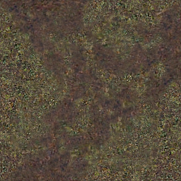DungeonSiege-b_t_for02_pth_08x08-c.png