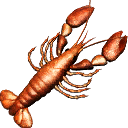 dd_crawfish dd_crawfish
