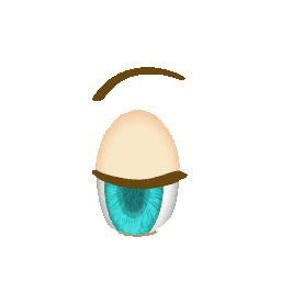 FSANT_eye_2.png