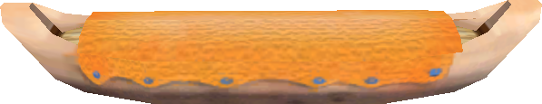 SMSriccoship.PNG