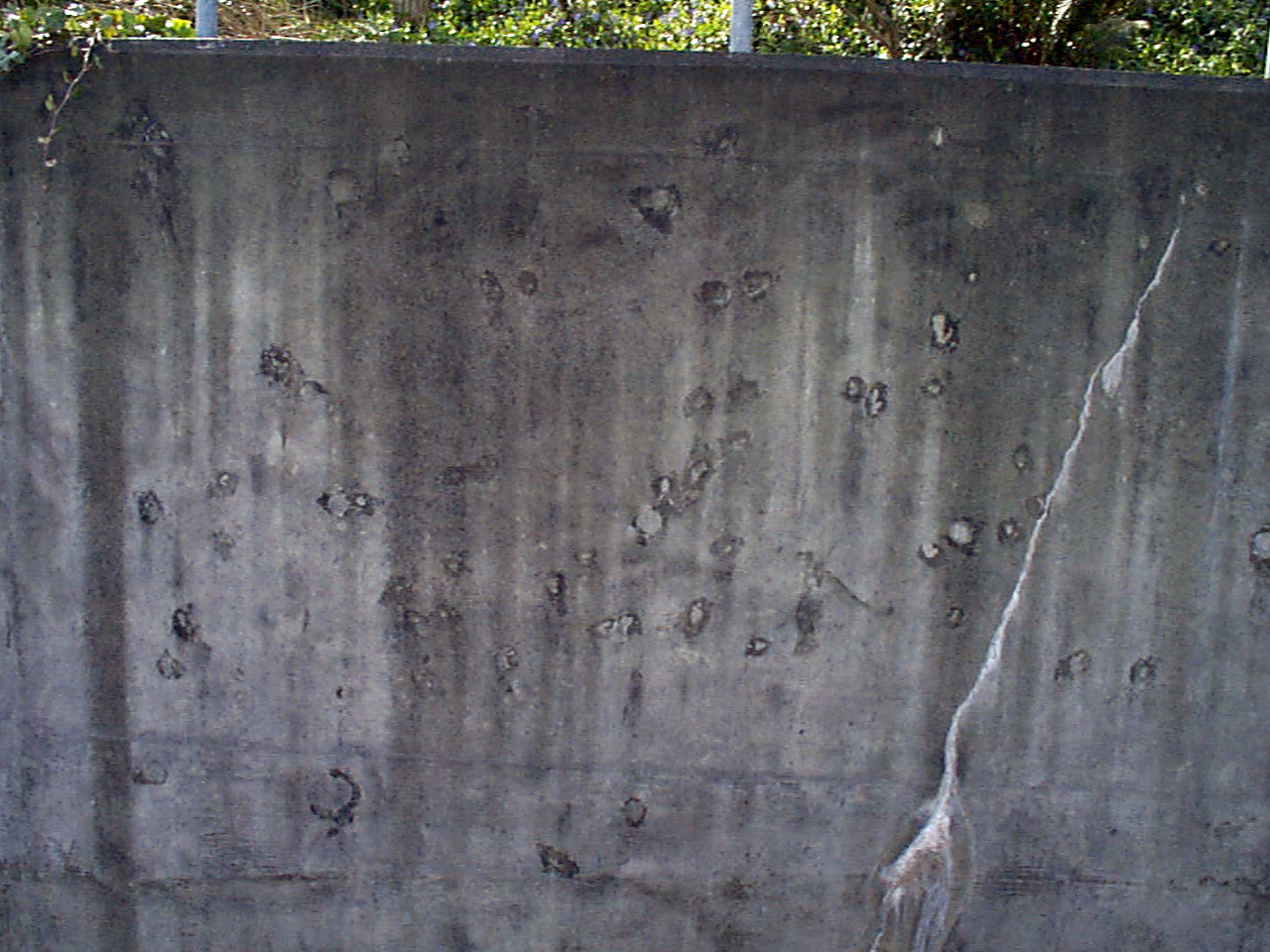 HLRawTexture_3_3_2226.png HLRawTexture_3_3_2226.png