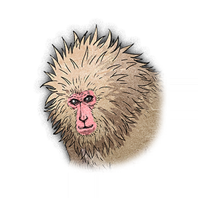 GetsuFumaDen_UM-T_UI_SubWeapon_Pet301_001.png