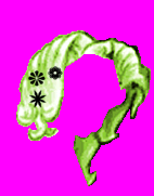 bs_ho13.tga bs_ho13.tga
