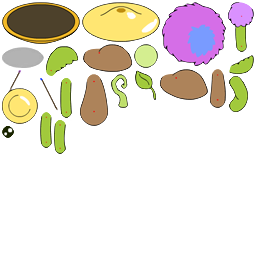 Early_Baby_Clamble_Files.png