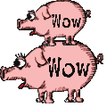 GF5DM4-jetworldSTWpig1.png GF5DM4-jetworldSTWpig1.png