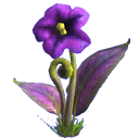 pl_deadly_nightshade pl_deadly_nightshade
