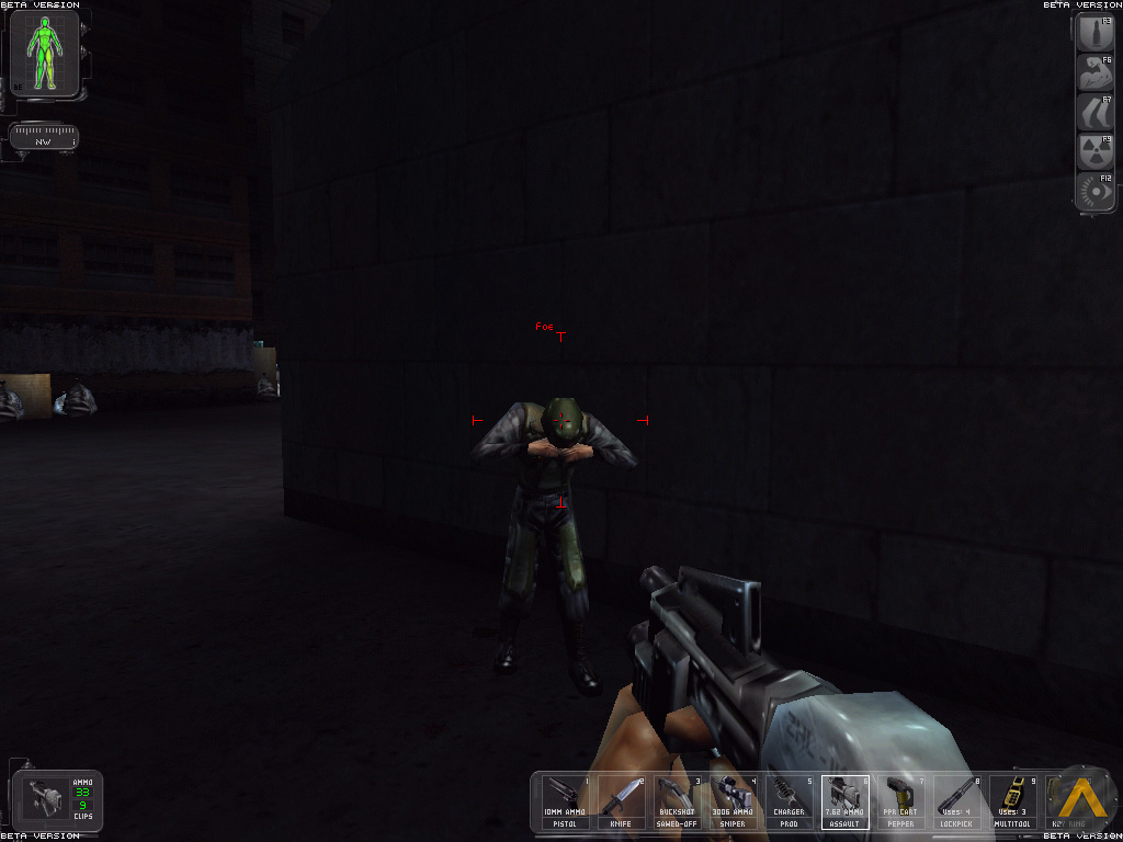 Ammo is now listed on weapon icons. "Foe" text still appears above enemy heads.