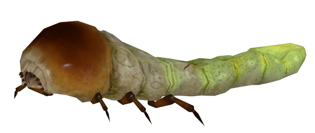 hl2ep2_antliongrubsquashed.png