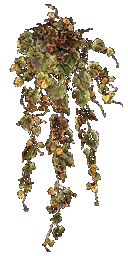 CSS-cs_havana-planta.png CSS-cs_havana-planta.png