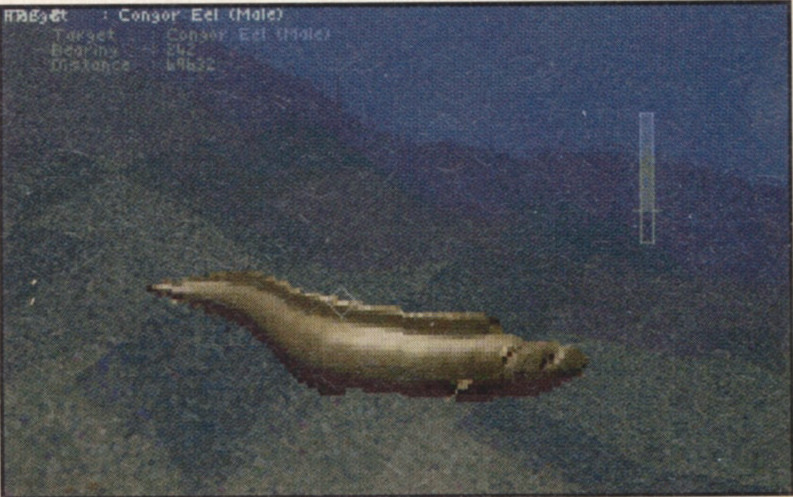 One of the later 2D builds, from around the start of 1994 as seen in Edge magazine