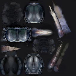 Blue centipede skin. Blue centipede skin.