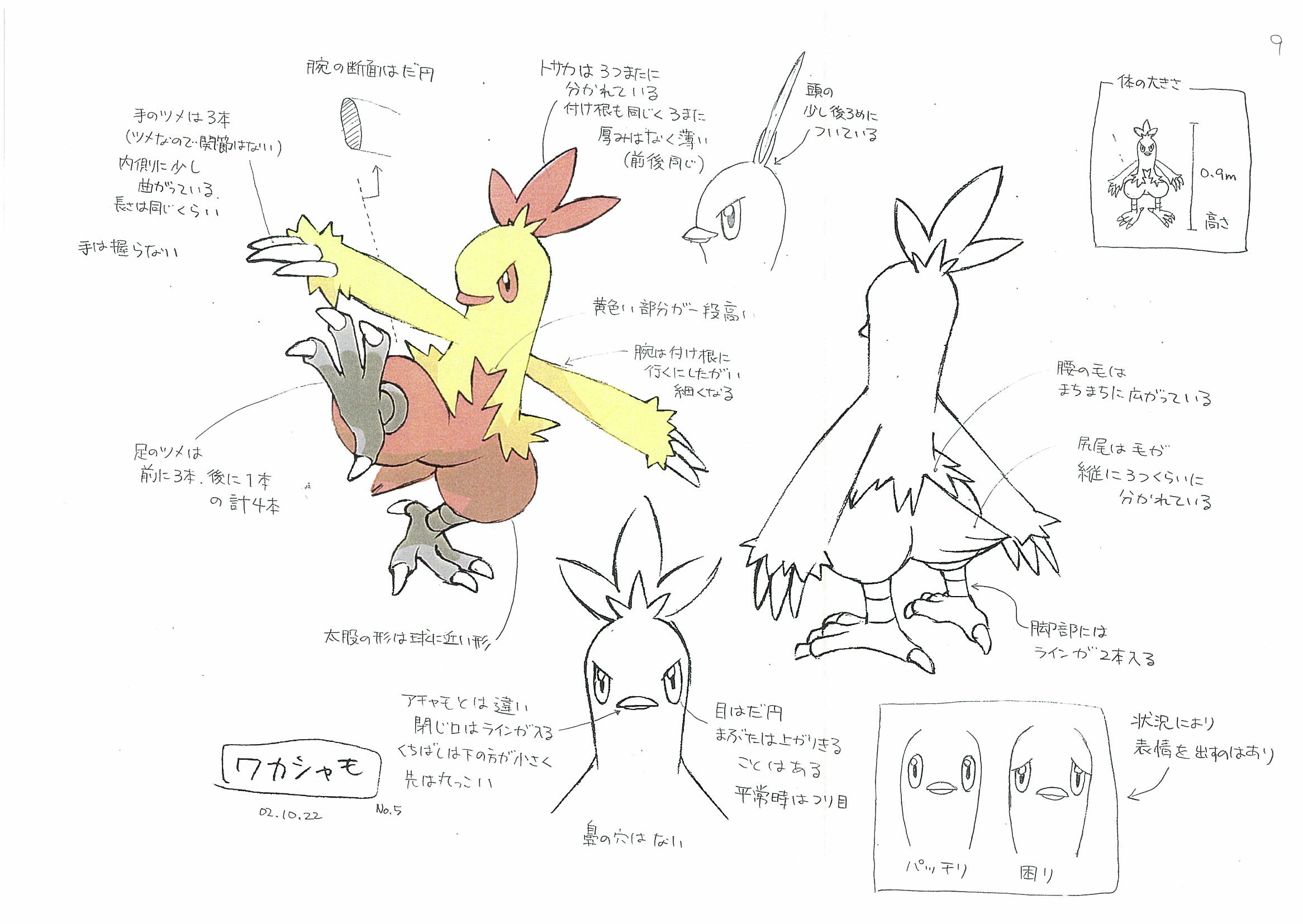 PKMNRS_Combusken_Concept_Art.jpg