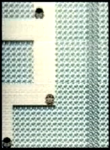 PKMN_GS_Route_32_SW99_Promo_Video.png