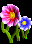 CBFD_flowers2.gif