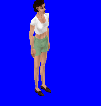Ts1_gorillawalk_sample2.gif