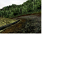 CMR04_xbox_demo_icons_jap_s1.png