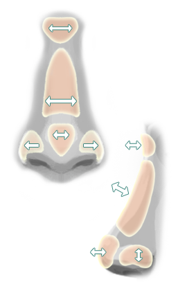 mold nose & nostril
