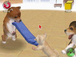 NintendogsJanuary2005Screenshot8.jpg NintendogsJanuary2005Screenshot8.jpg