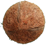 PVZ3_2021_Placeholder_Coconut_Cannon_Round.png