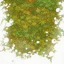 cag_forest01 cag_forest01