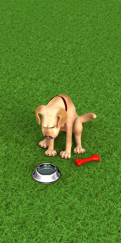 JohnDog-A24_00_-118.png_‎