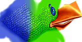 Birdy_body Birdy_body