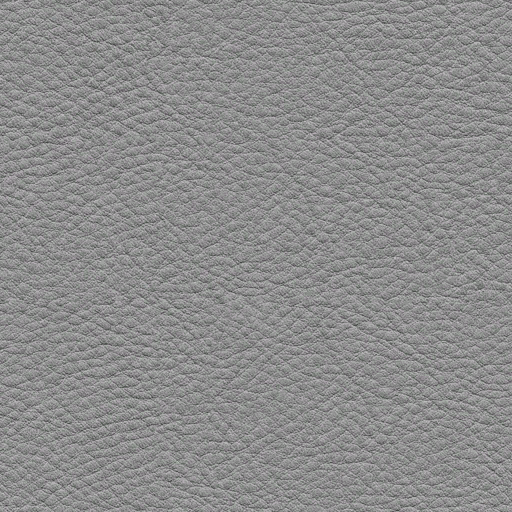 Zt_reading_leather_spec.png